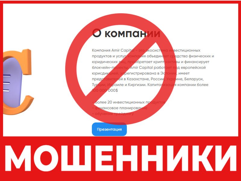 Amir Capital скрин