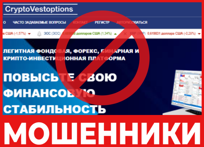 CRYPTOVESTOPTIONS лицевая сторона скрин