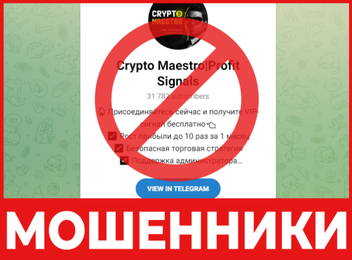 CRYPTO MAESTRO лицевая сторона скрин