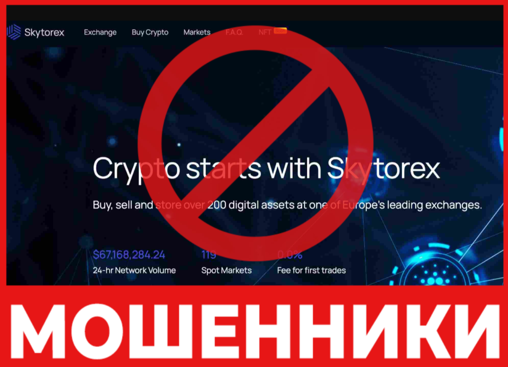 Skytorex лицевая сторона скрин