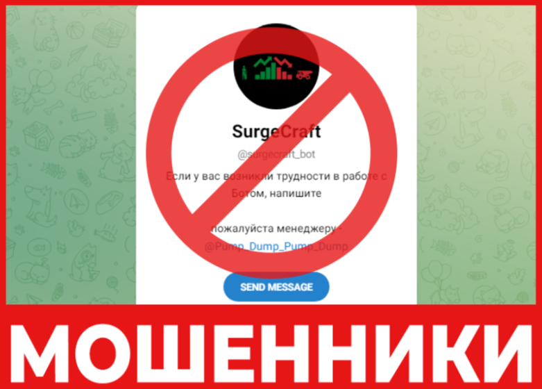 SurgeCraft лицевая сторона скрин