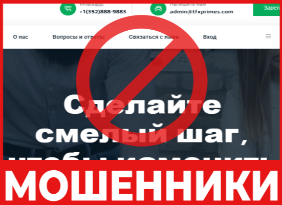 TFX PRIMES лицевая сторона скрин