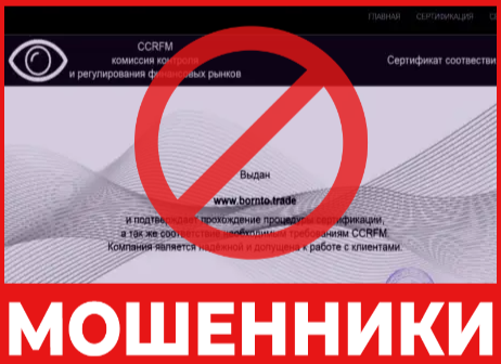 Born To Trade лицевая сторона скрин