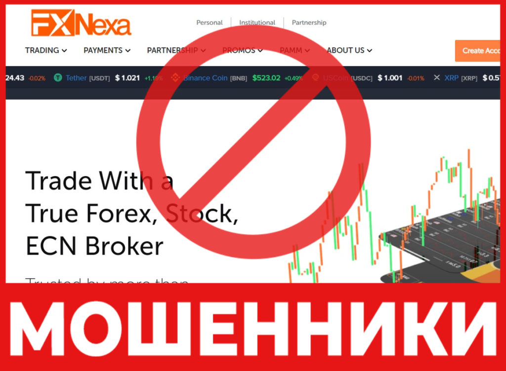 FXNexa лицевая сторона скрин