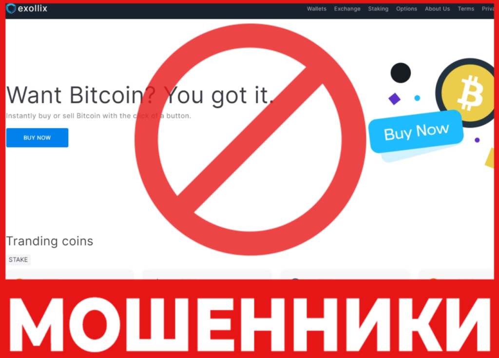 Exollix лицевая сторона скрин