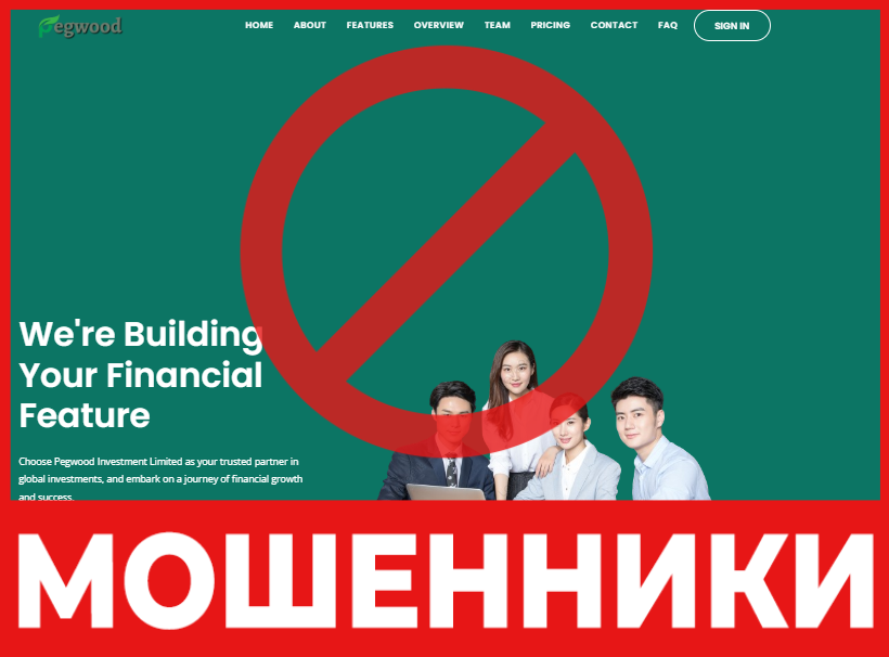 Pegwood investment Limited лицевая сторона скрин