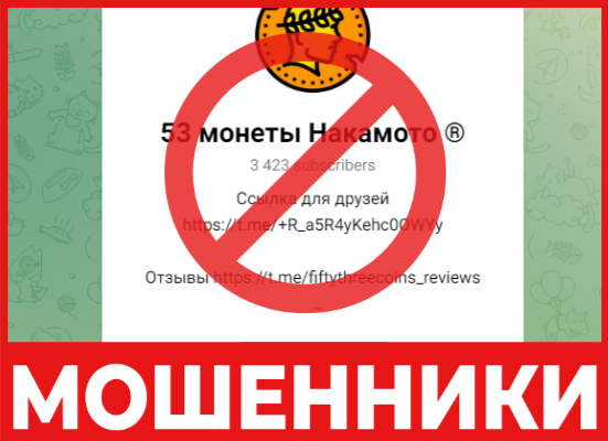 53 монеты Накамото лицевая сторона скрин