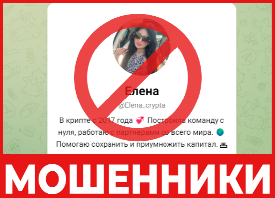 «КРИПТА ИНВЕСТИЦИИ Елена» лицевая сторона скрин