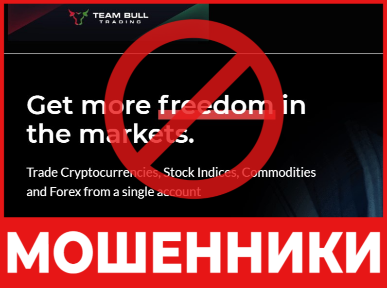 Thealertnation лицевая сторона скрин