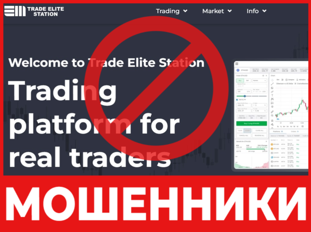 Trade Elite Station лицевая сторона скрин