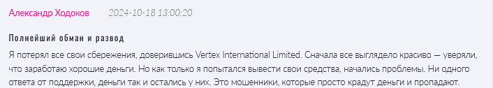 Vertex International Limited 1 скрин