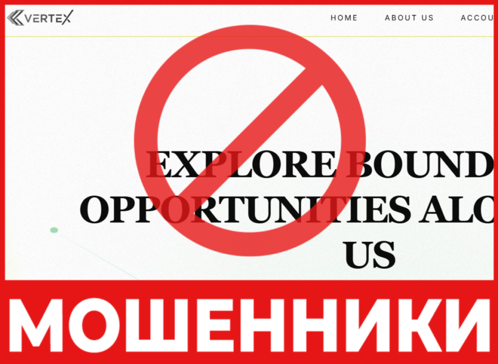 Vertex International Limited лицевая сторона скрин