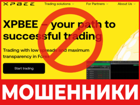 XPbee лицевая сторона скрин
