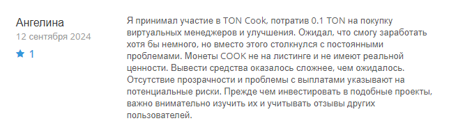 TON Cook 1 скрин