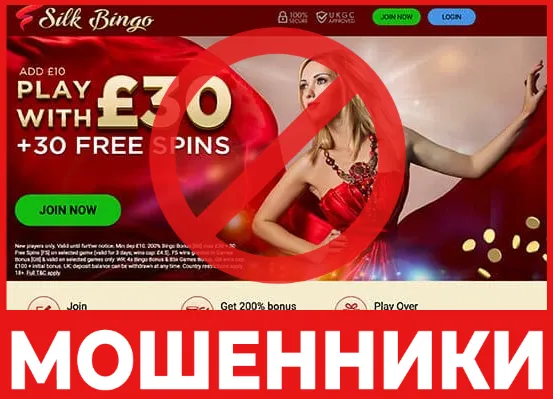 Silk Bingo лицевая сторона скрин