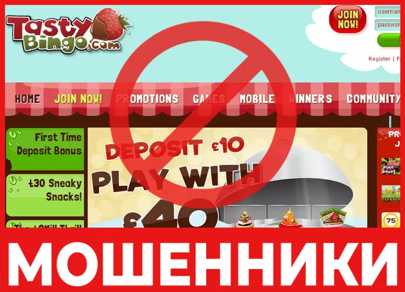 Tasty Bingo лицевая сторона скрин