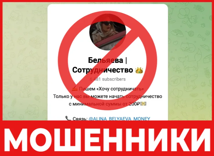 Алина Бельяева Сотрудничество лицевая сторона скрин