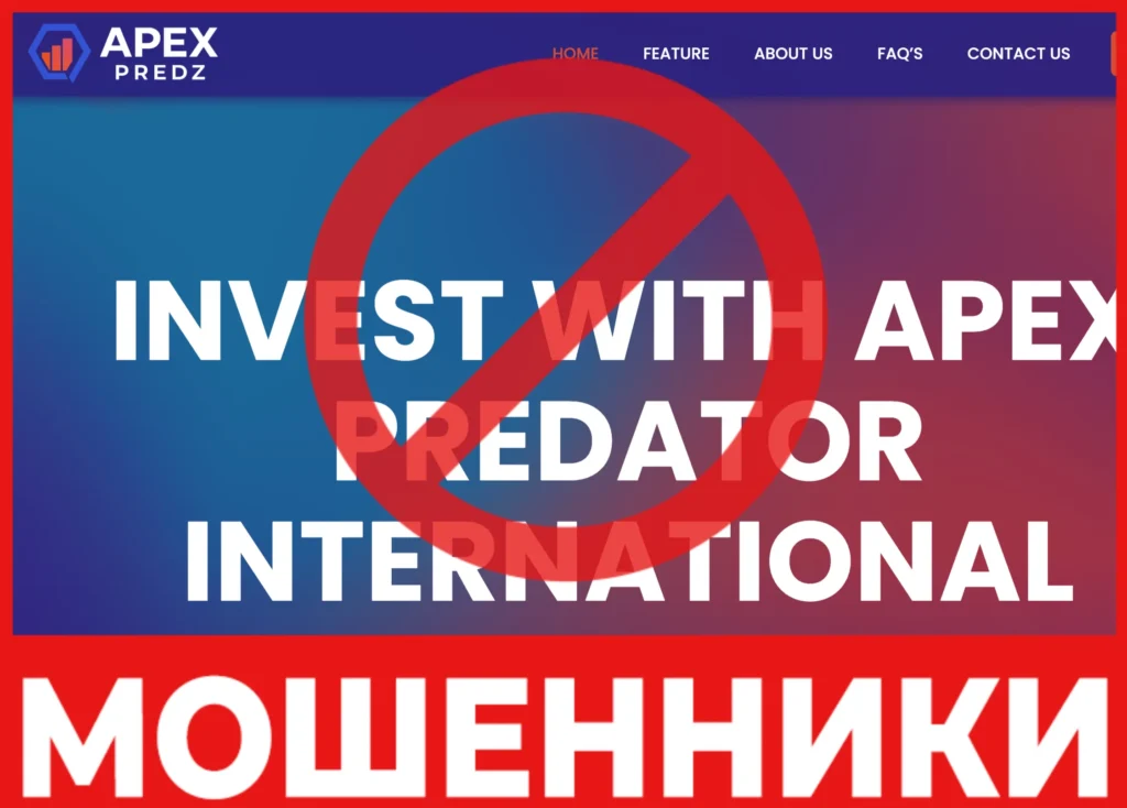Apex Predzint лицевая сторона скрин