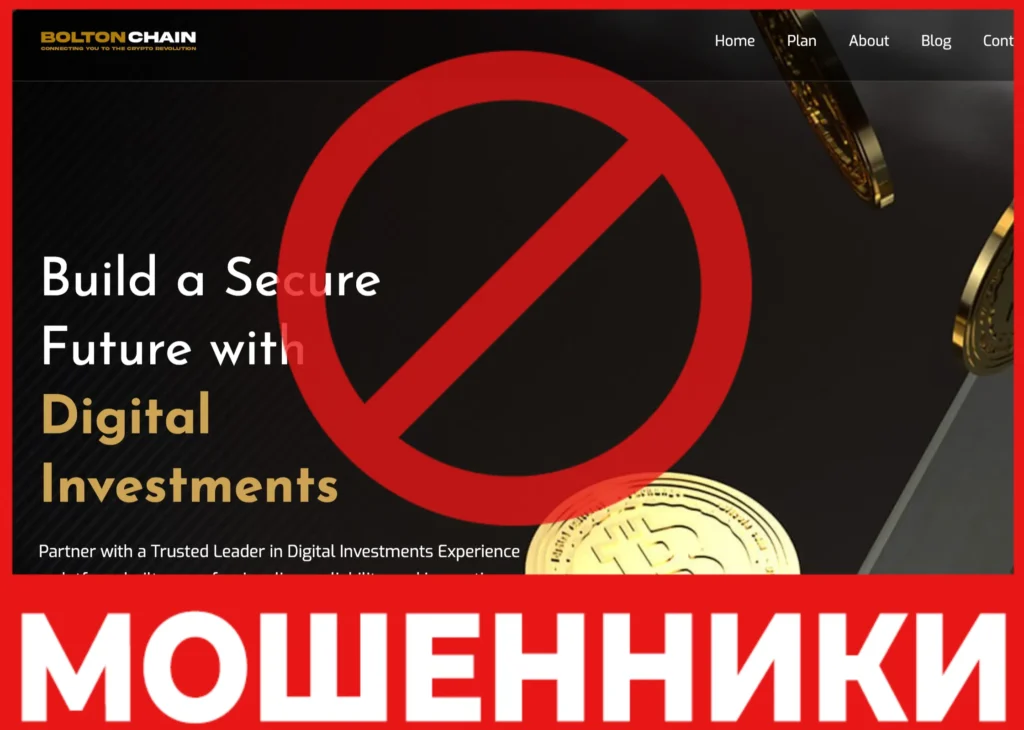 Bolton Chain лицевая сторона скрин