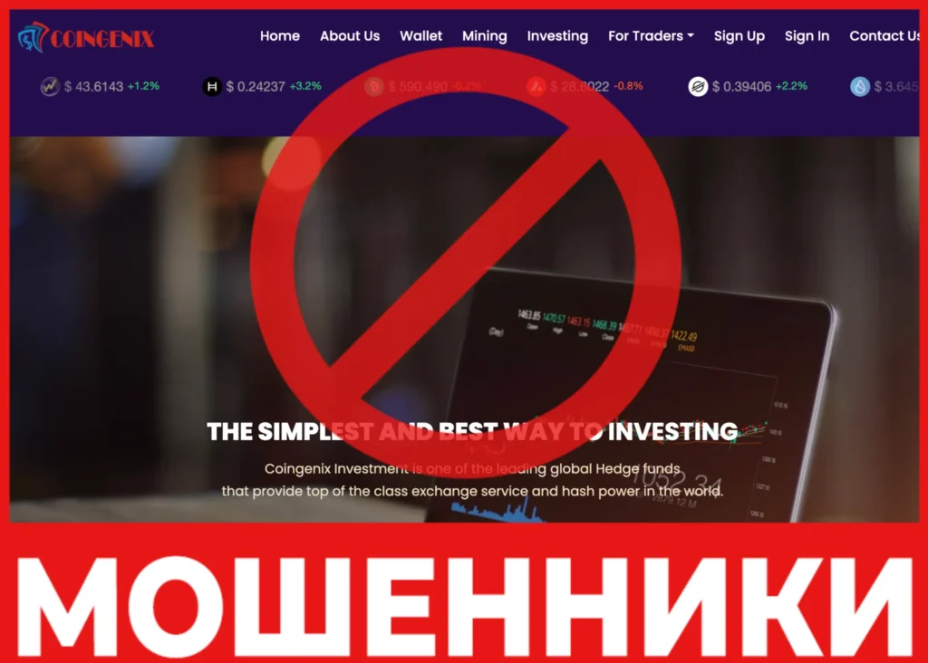 Coingenix лицевая сторона скрин