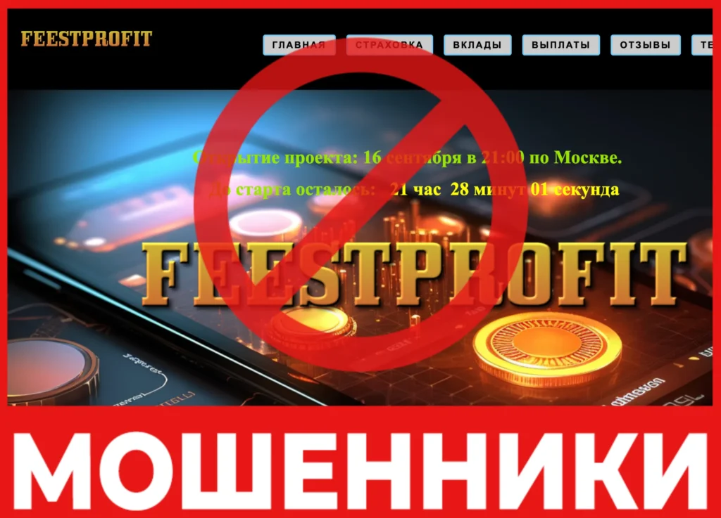FEESTPROFIT лицевая сторона скрин
