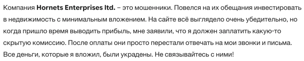 Hornets Enterprises ltd 3 скрин