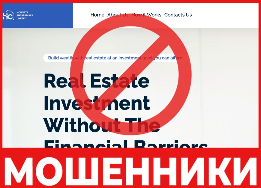 Hornets Enterprises ltd лицевая сторона скрин