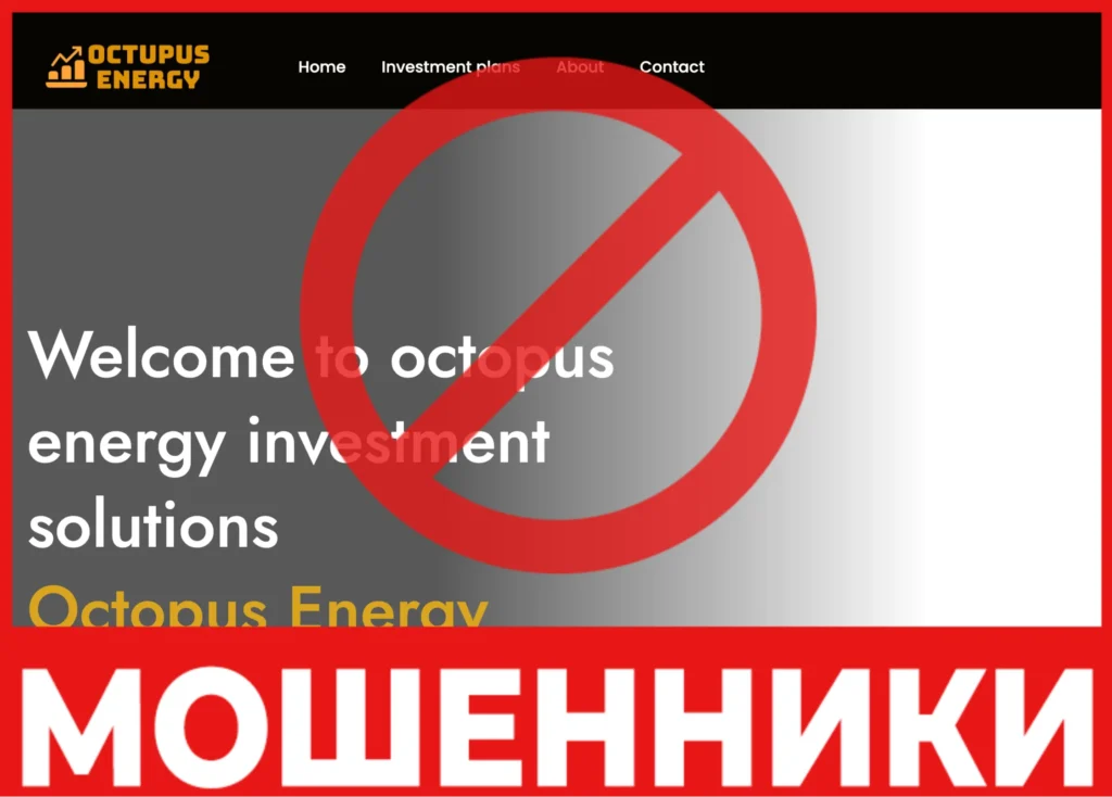 Octopus Energy лицевая сторона скрин