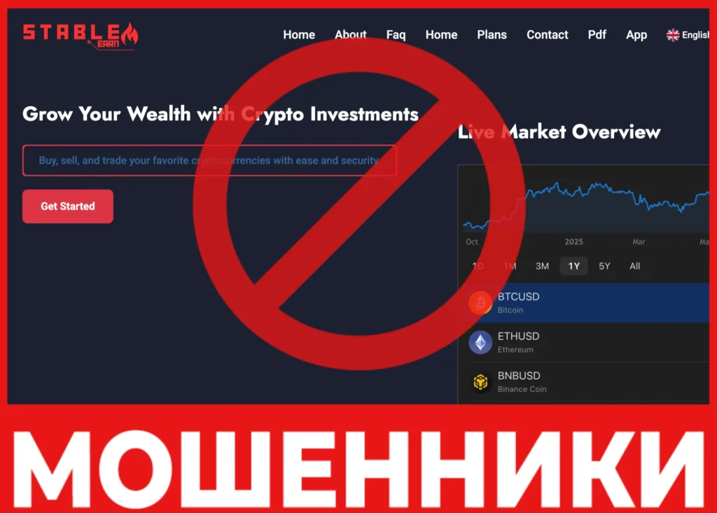 Stable Earn Network лицевая сторона скрин