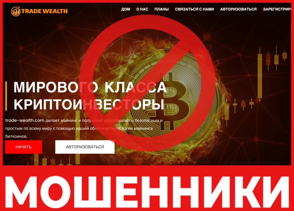 Trade-wealth лицевая сторона скрин