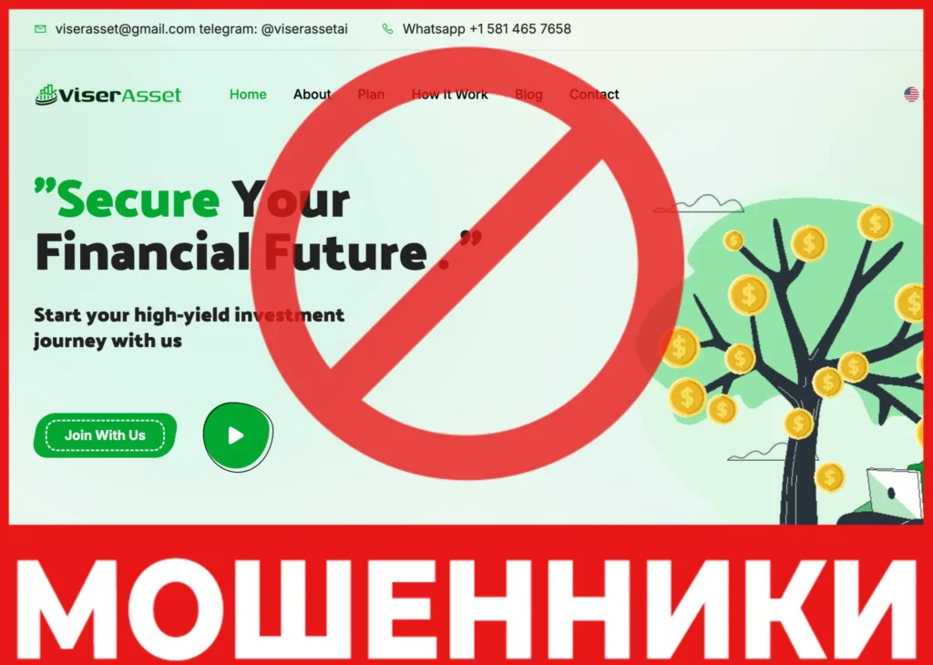 Viserasset-AI лицевая сторона скрин