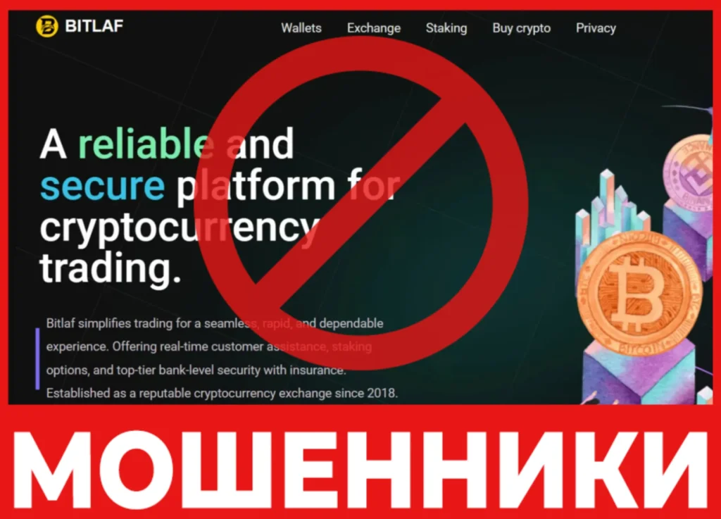 Bitlaf лицевая сторона скрин