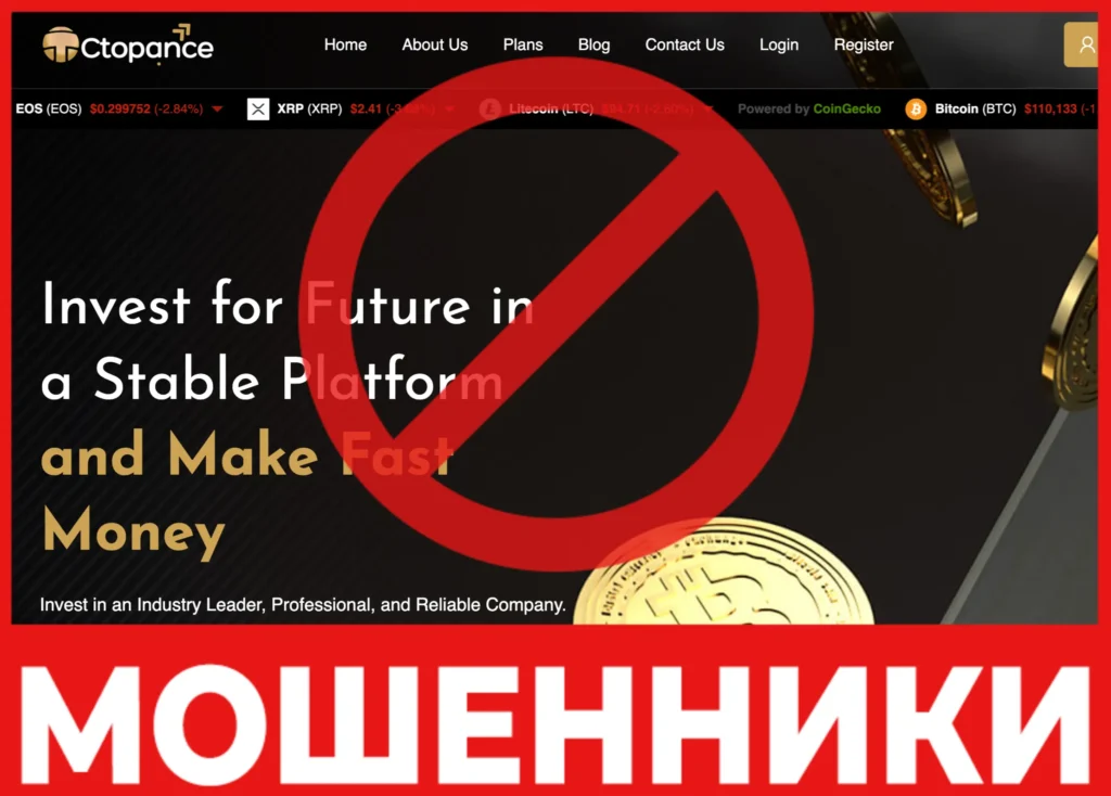 Ctopance лицевая сторона скрин