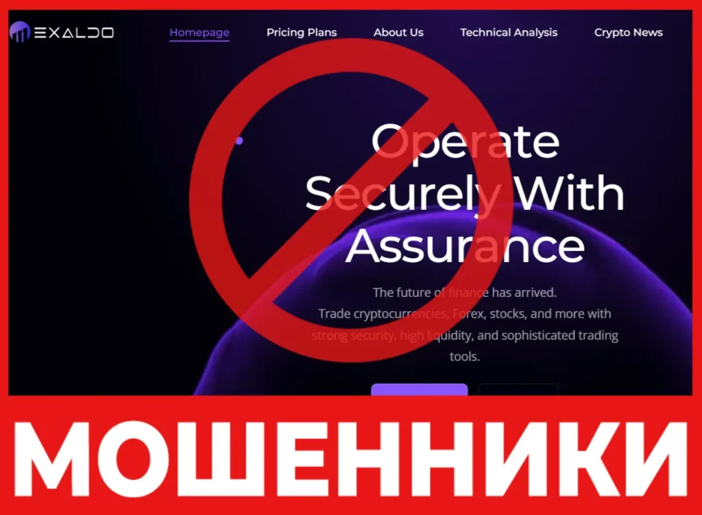 Exaldo лицевая сторона скрин