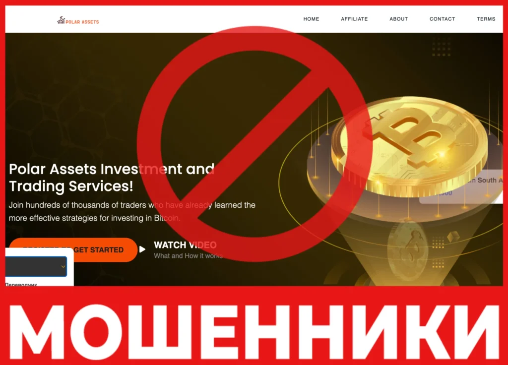 POLAR-ASSETS лицевая сторона скрин