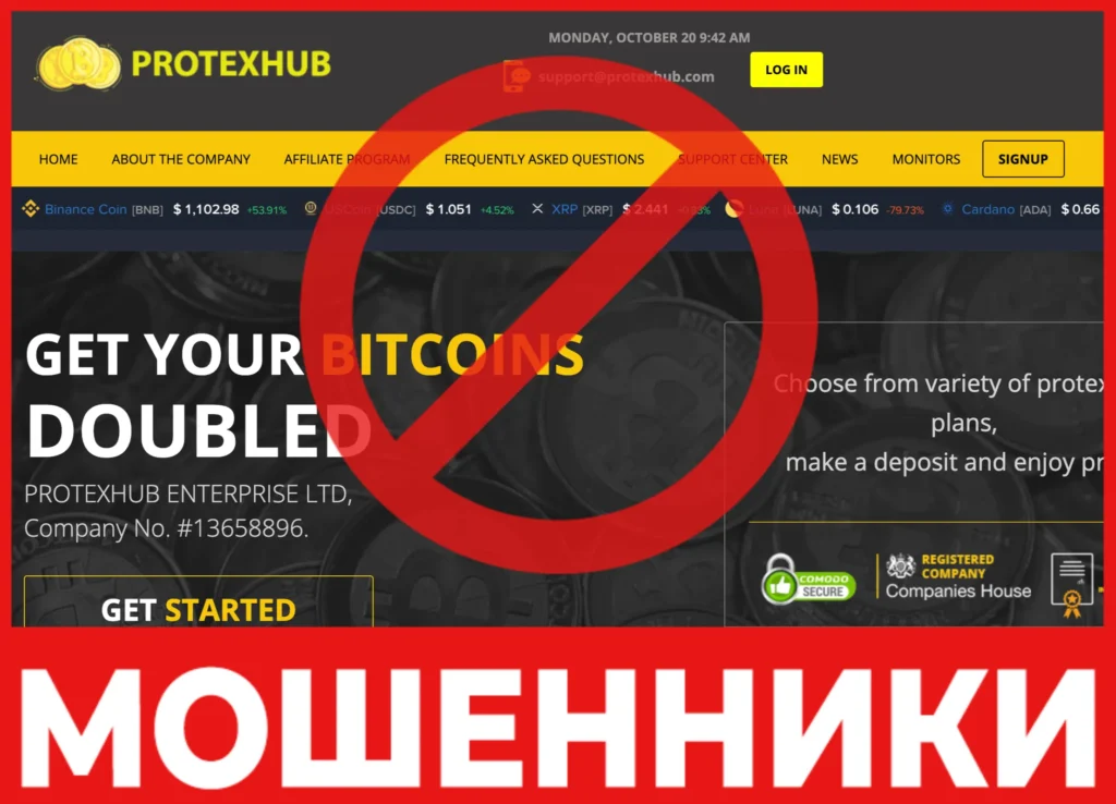 PROTEXHUB лицевая сторона скрин