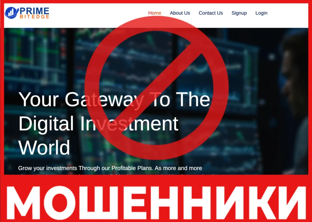 Prime Bitedge лицевая сторона скрин