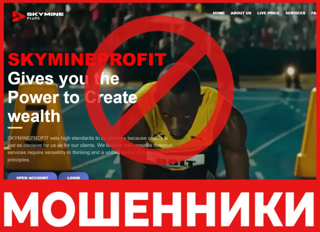 SKYMINEPROFIT лицевая сторона скрин