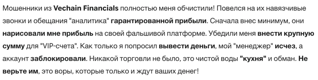 Vechain Financials 3 скрин