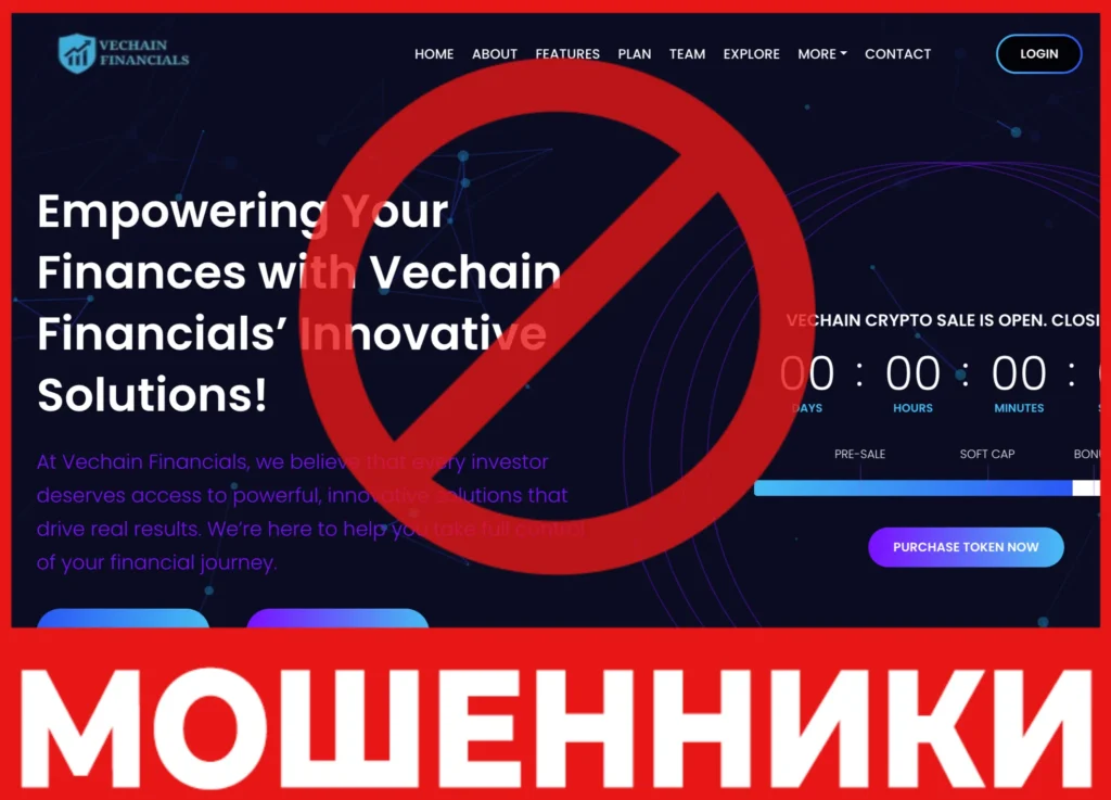 Vechain Financials лицевая сторона скрин