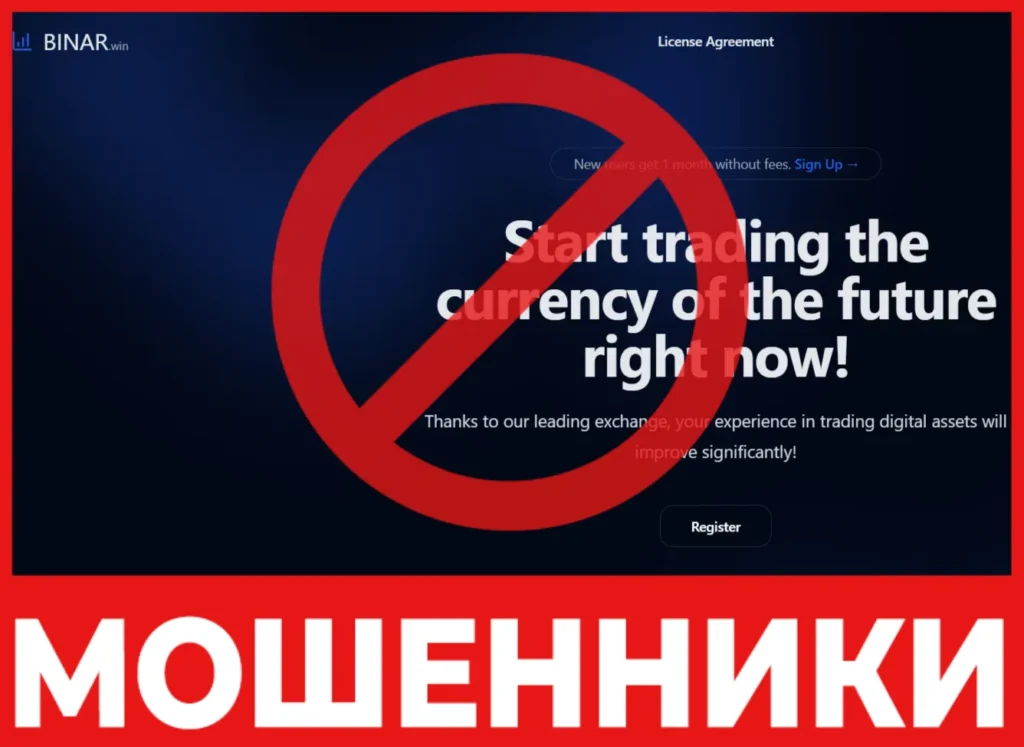 BINAR лицевая сторона скрин