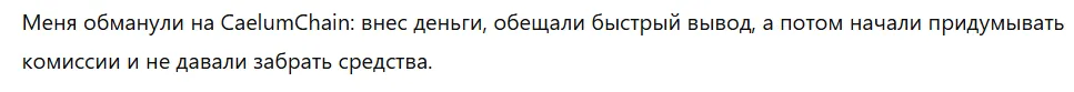 CaelumChain 1 скрин