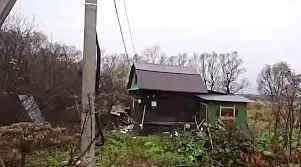 В Ярославской области обнаружена незаконная майнинг-ферма в зарослях борщевика