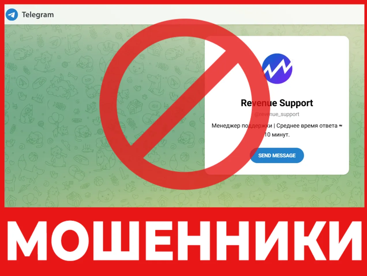 Revenue Support лицевая сторона скрин