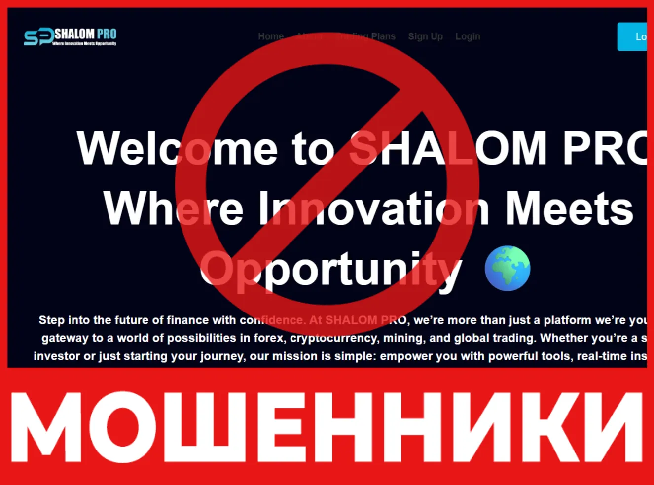 SHALOM PRO лицевая сторона скрин