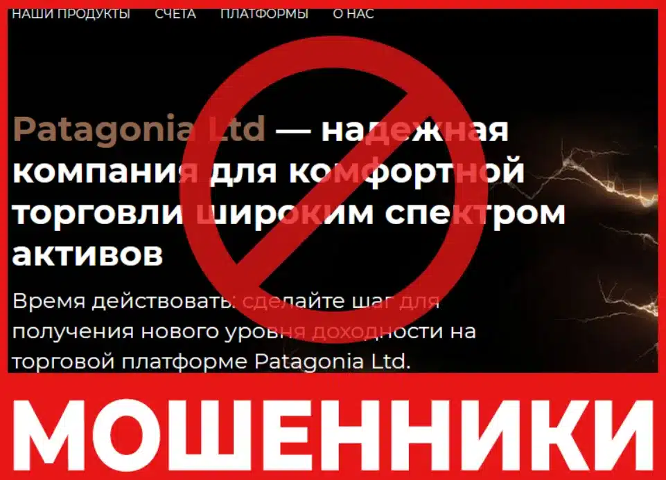 Patagonia Ltd лицевая сторона скрин