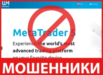 WM Markets лицевая сторона скрин